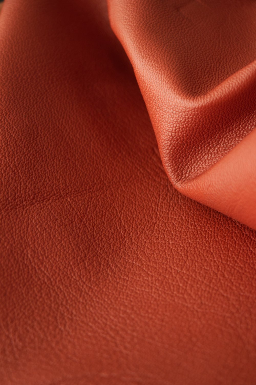 Photo pour la communication sur les réseaux sociaux d'une PME en sud-Aveyron, Occitanie. Gros paln sur le grain d'un cuir de chèvre teinté safran. Collaboration entre les Tanneries Pechdo et Via Tara