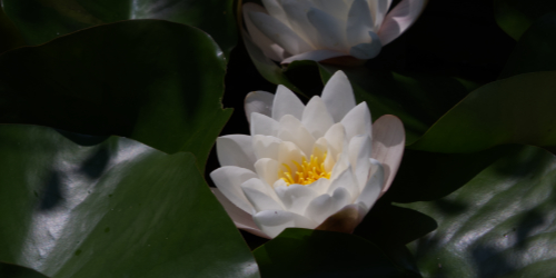 affirmer son positionnement et donner une image positive