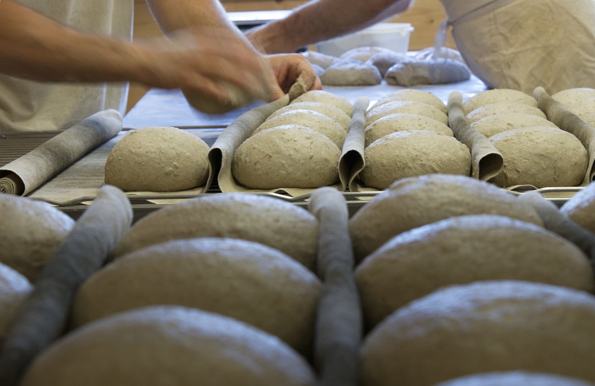 reportage photo dans une ferme aveyronnaise. Les boulangers de l'équipe produisent du pain bio à partir de leur prodcution de blé. Photo Luce Dupont, Via Tara