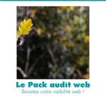 Le pack visibilité web